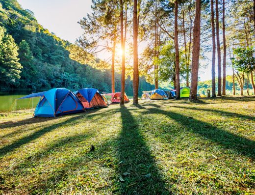 [DEMO] Parcelas de Acampada Junto al Lago y Zona Overland en Camping Sierra de Gredos