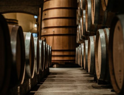 Cata de Vinos de Crianza, Visita a Bodega Histórica y Maridaje