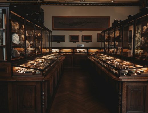 [DEMO] Exposición Temporal: Tesoros de la Antigüedad y Maestros del Barroco